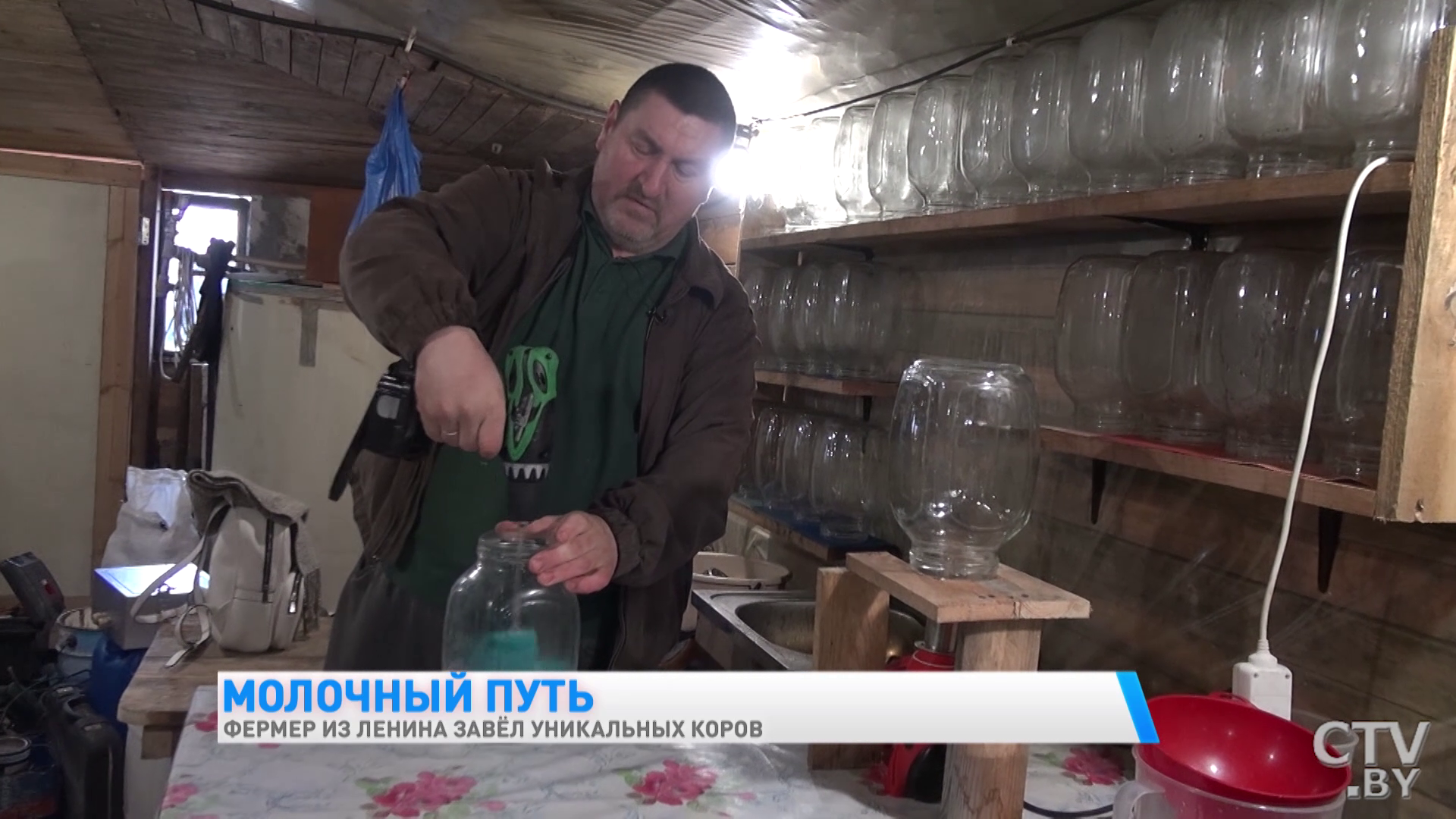 «Они у меня иногда под шансон хорошо доятся». Фермер из Гомельской области завёл уникальных коров-22