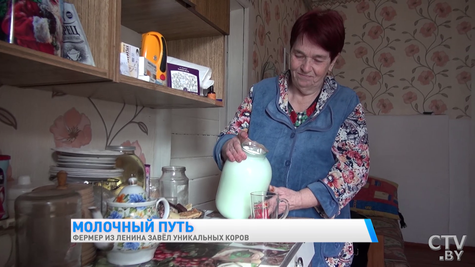 «Они у меня иногда под шансон хорошо доятся». Фермер из Гомельской области завёл уникальных коров-31