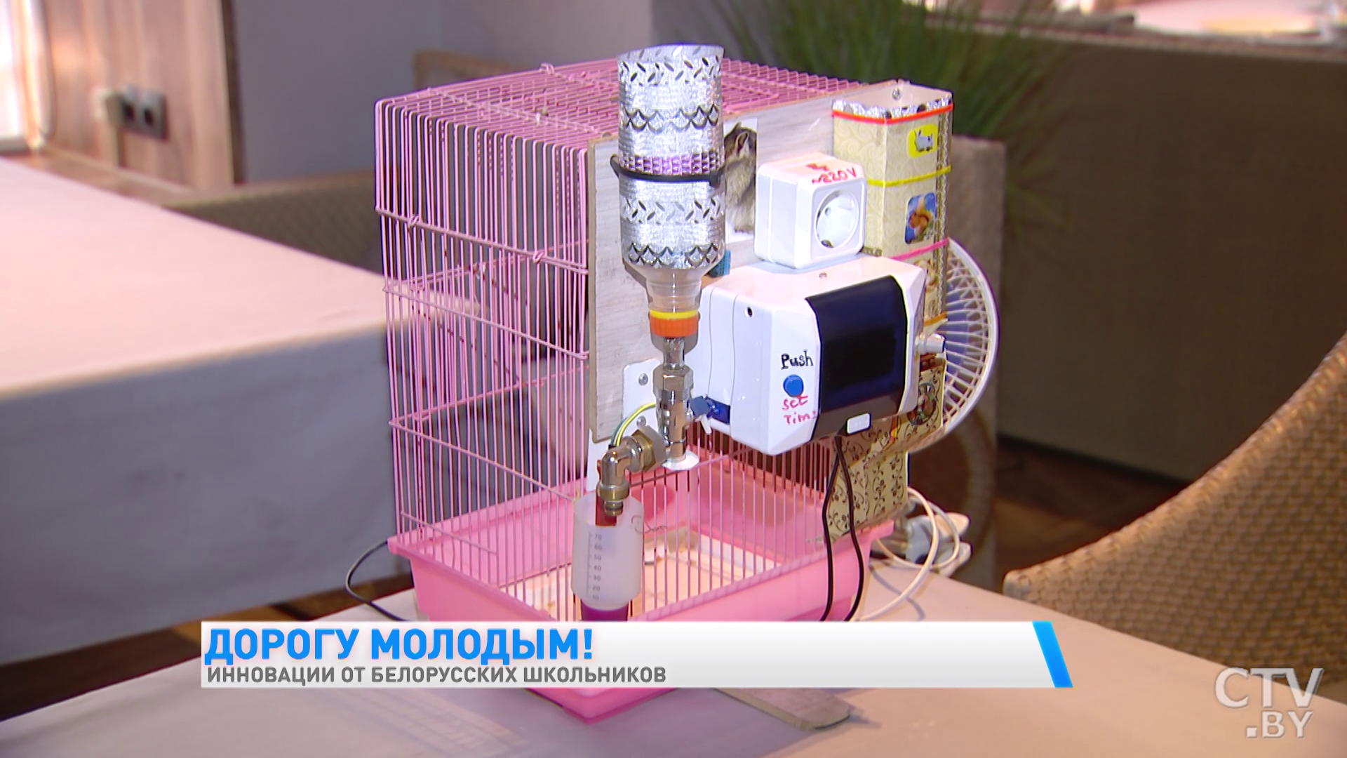 Косметика из черноплодной рябины и «умный» дом для грызуна. Показываем необычные разработки школьников-40