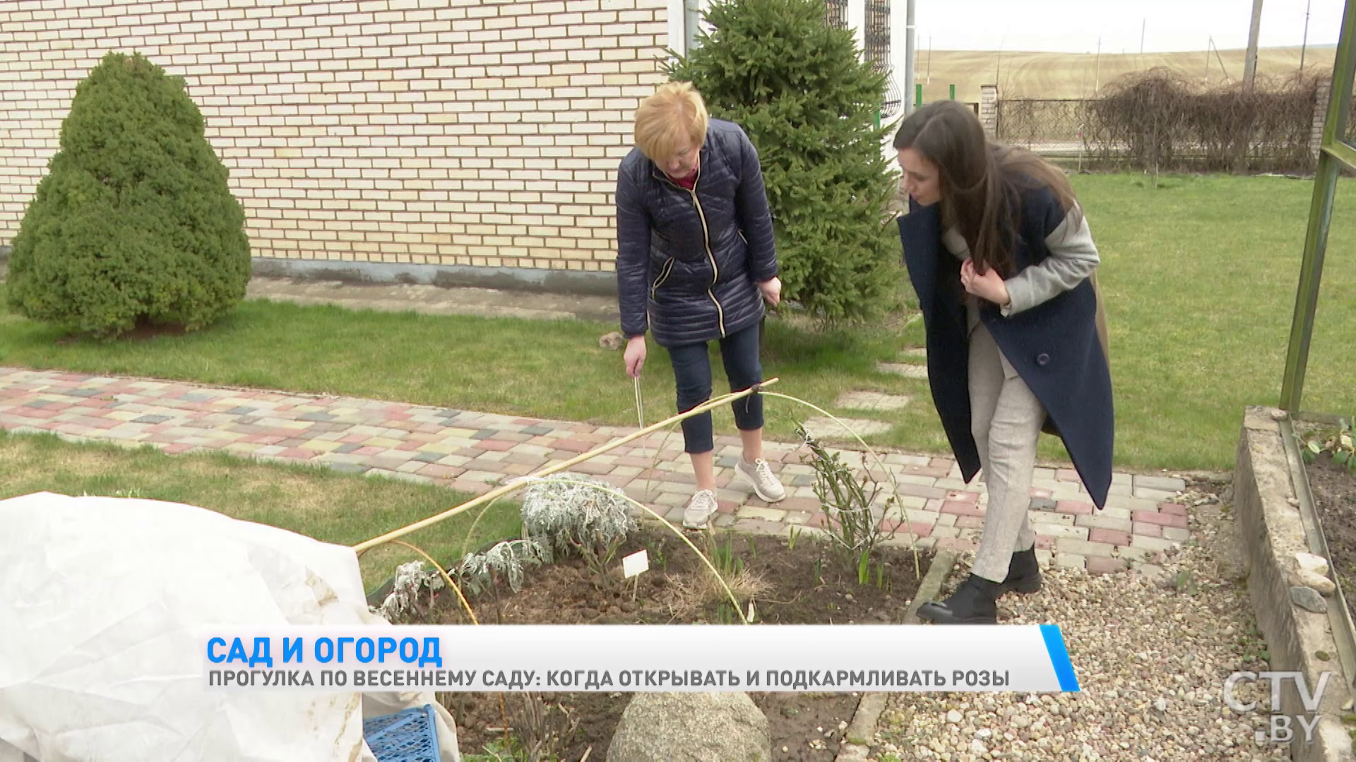 «Они страдают от резкого перепада температуры». Когда открывать и подкармливать розы -10