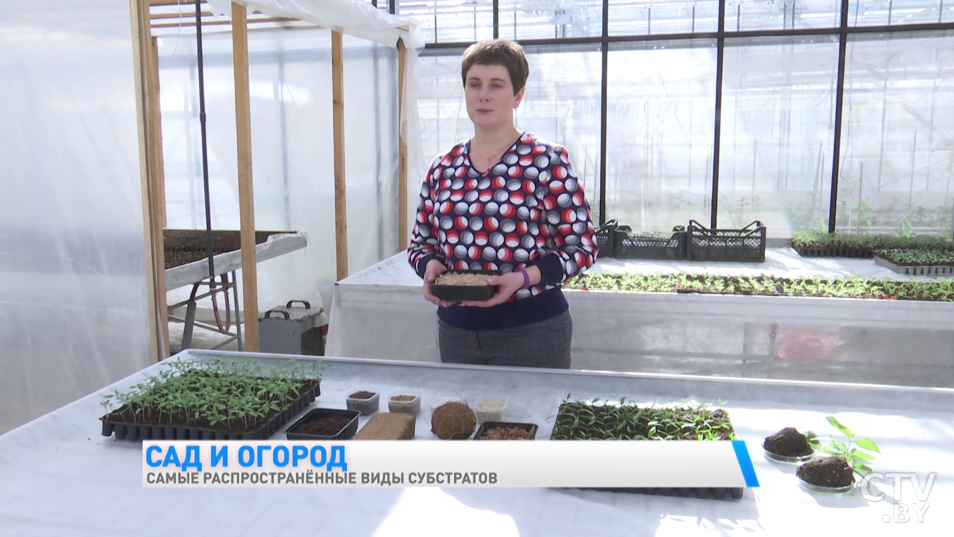Субстраты для пикировки: какие виды существуют и какой выбрать-1