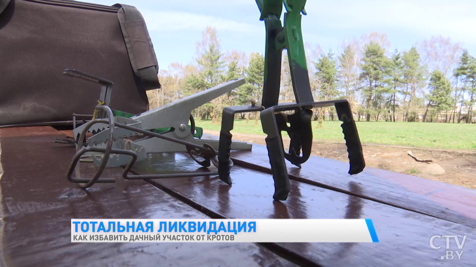 «Пишут, что запаха боба боится – это всё ерунда». Как эффективно избавиться от кротов-4