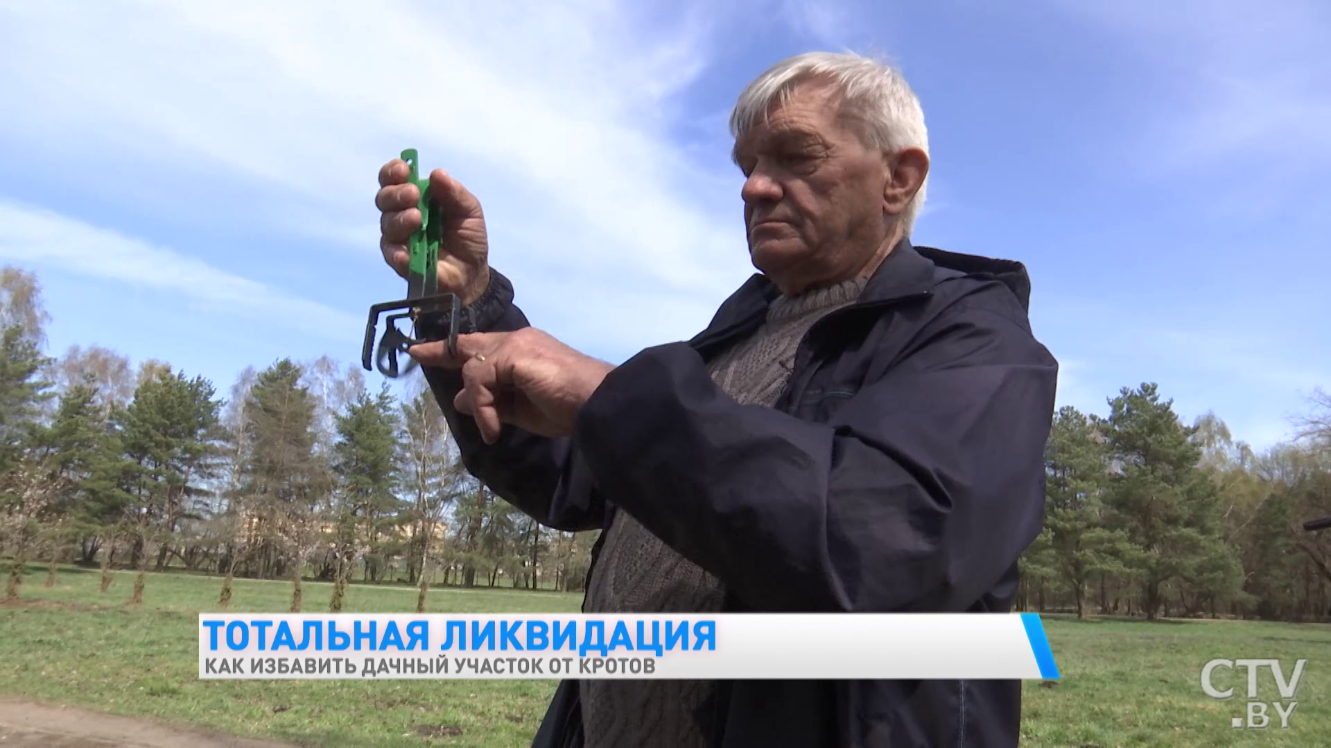 «Пишут, что запаха боба боится – это всё ерунда». Как эффективно избавиться от кротов-7