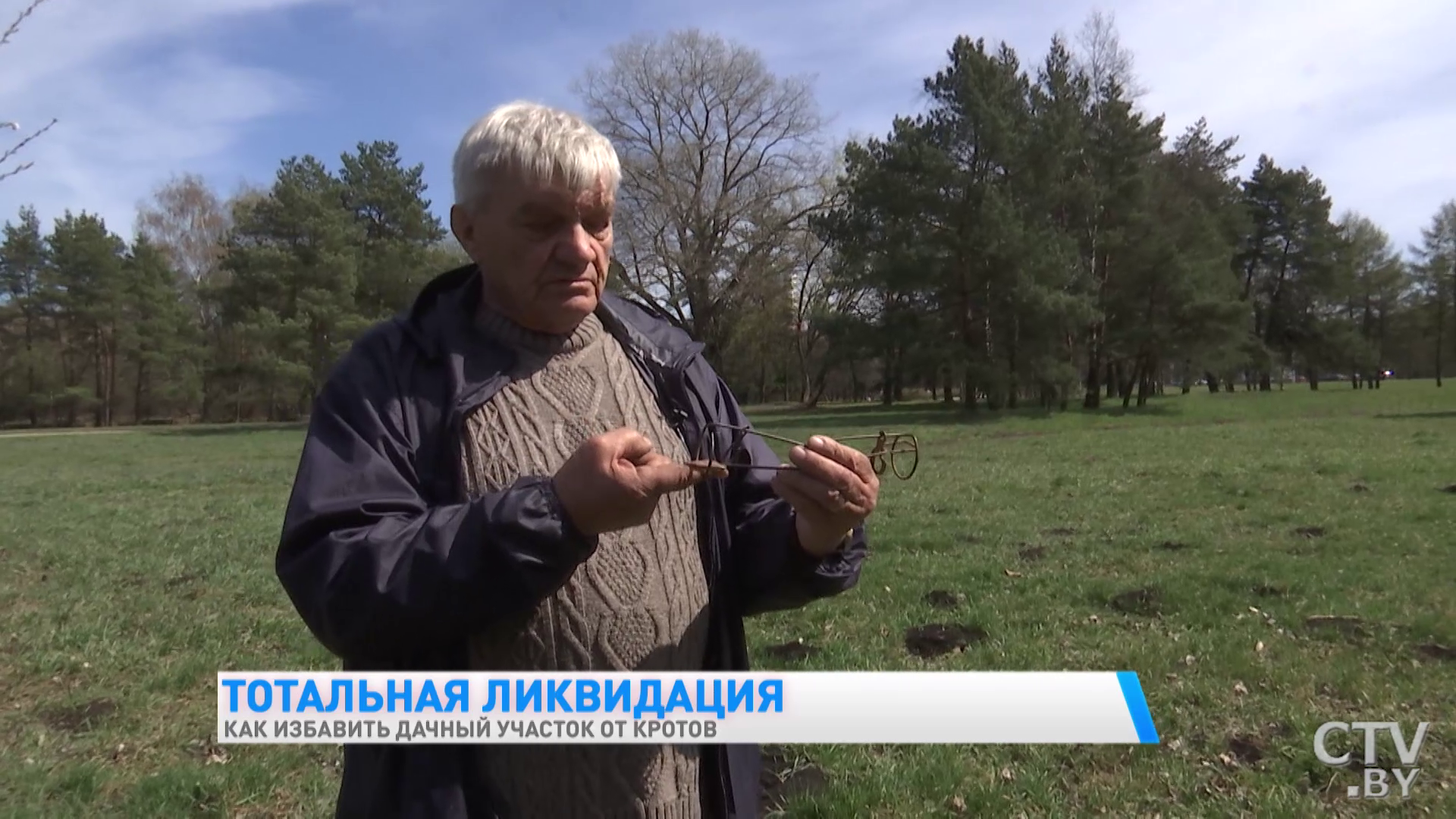 «Пишут, что запаха боба боится – это всё ерунда». Как эффективно избавиться от кротов-16
