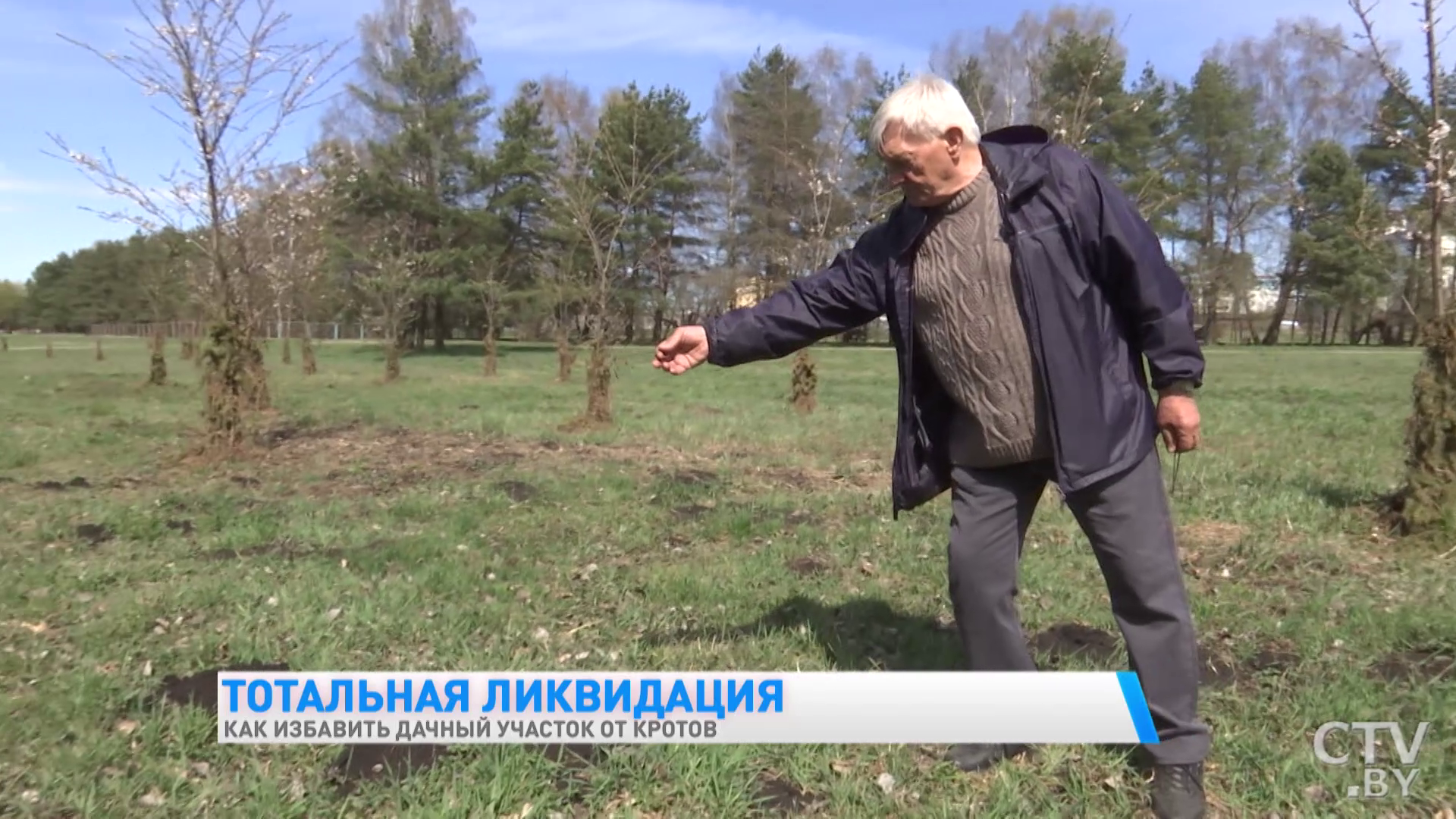 «Пишут, что запаха боба боится – это всё ерунда». Как эффективно избавиться от кротов-19