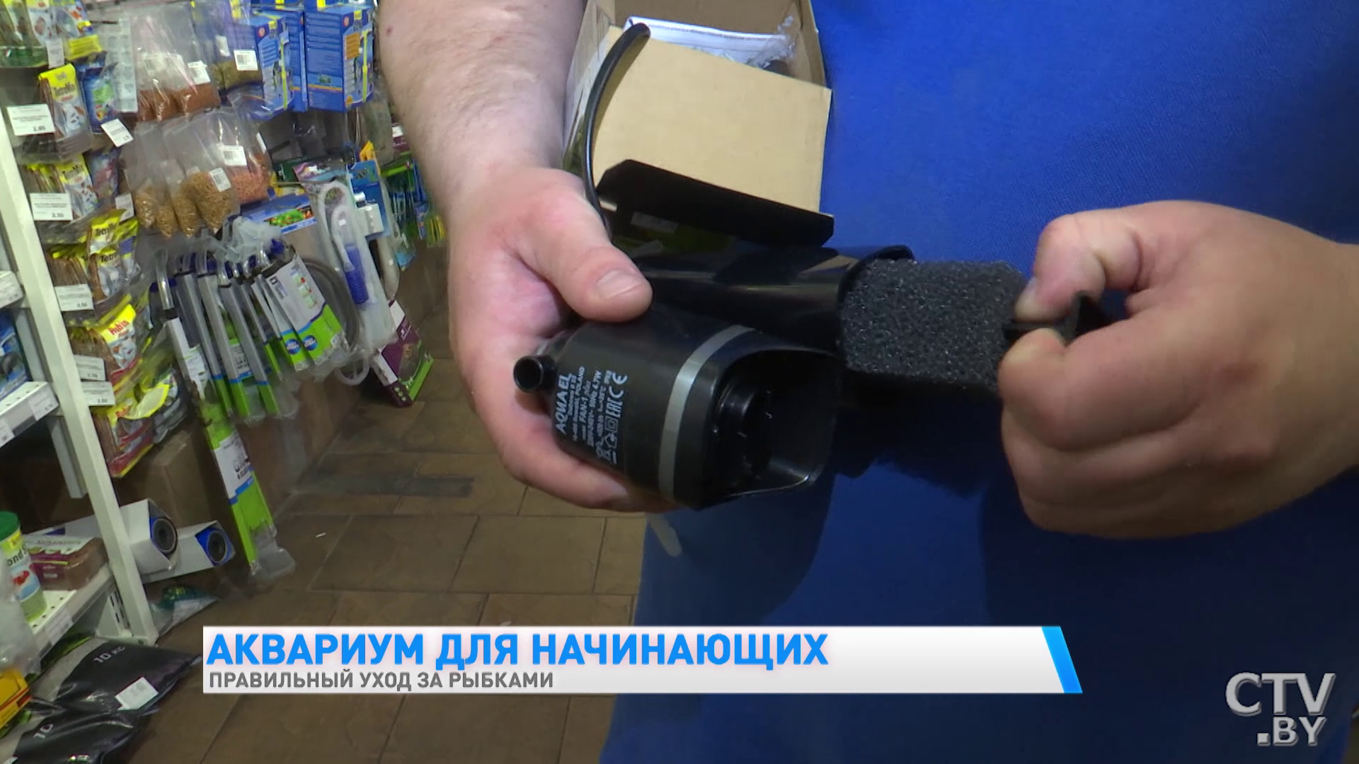 Уход за аквариумом занимает 20-30 минут в неделю. Что нужно знать, если решили завести рыбок-19