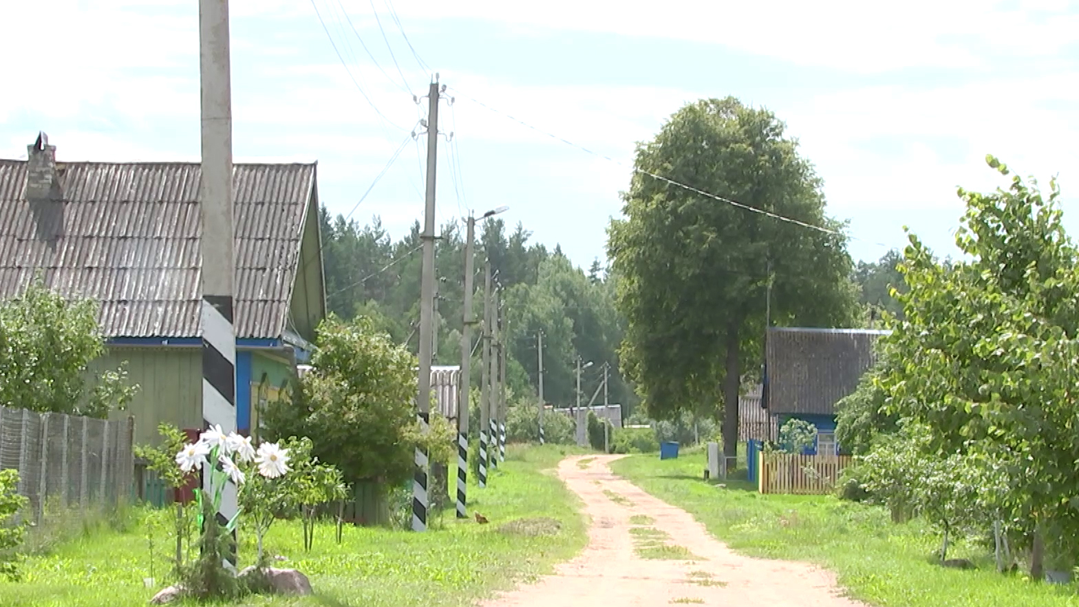 Можно ли детям ехать на каникулы в деревню? Мнение родителей и врачей