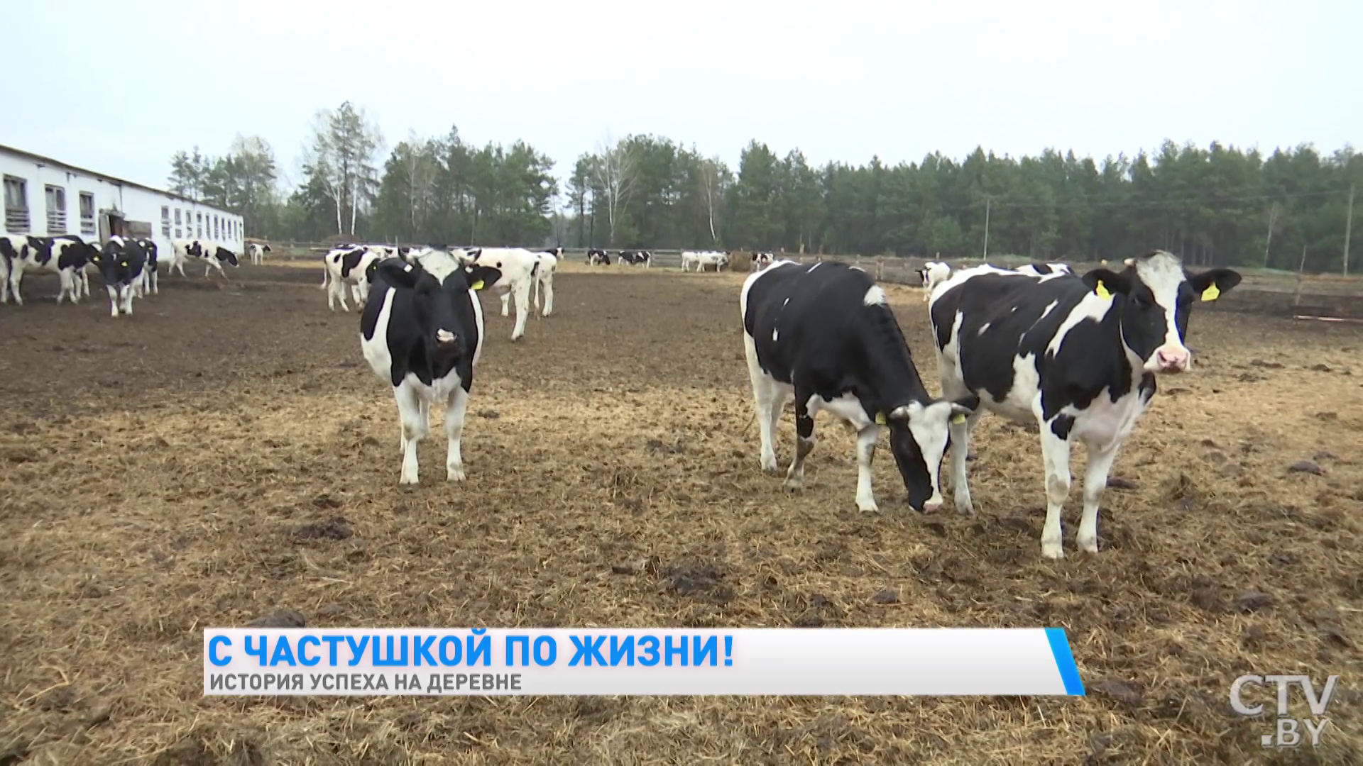 «У меня жена – это идеал женщины. Если надо, на тракторе ездит, если надо – на погрузчике». Как белорусская семья добилась успеха в деревне-4
