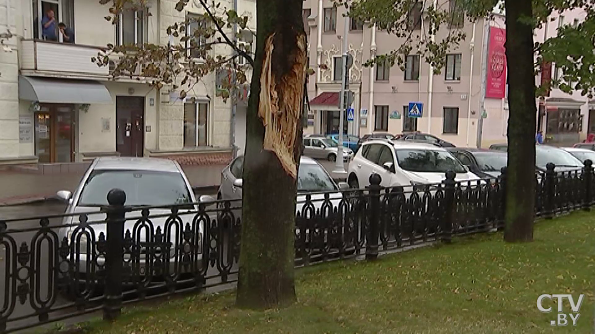 На авто упало дерево и повредило? Кто ответит и куда обращаться-4 На авто упало дерево и повредило? Кто ответит и куда обращаться-4