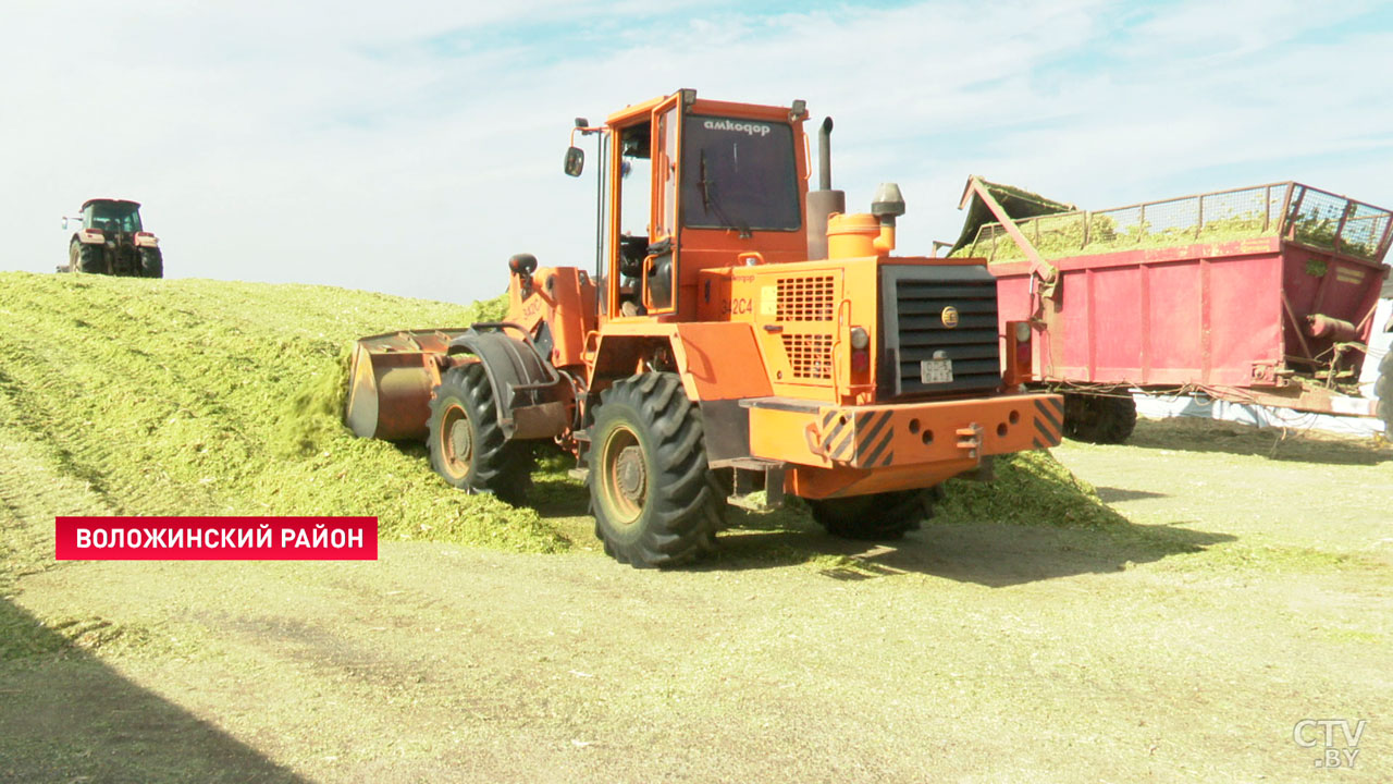 В Минской области убрано свыше 7,5 тыс. гектаров кукурузы на зерно-2