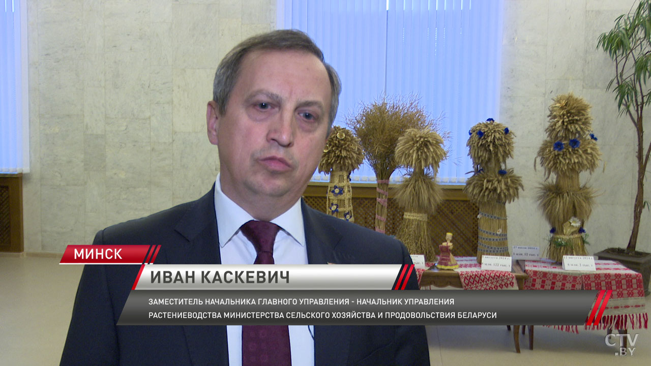Кукуруза даёт урожай даже на севере Беларуси! О рокировке посевных площадей рассказали в Минсельхозпроде-4 Кукуруза даёт урожай даже на севере Беларуси! О рокировке посевных площадей рассказали в Минсельхозпроде-4