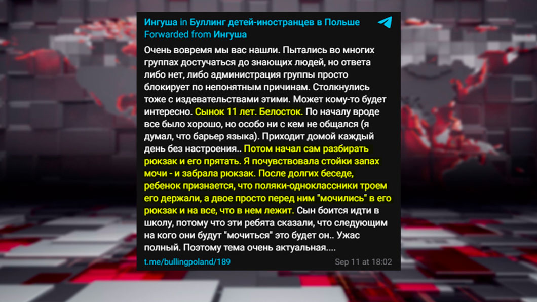 Буллинг продолжается 24 часа в сутки – как «выживают» белорусские дети в Польше-10