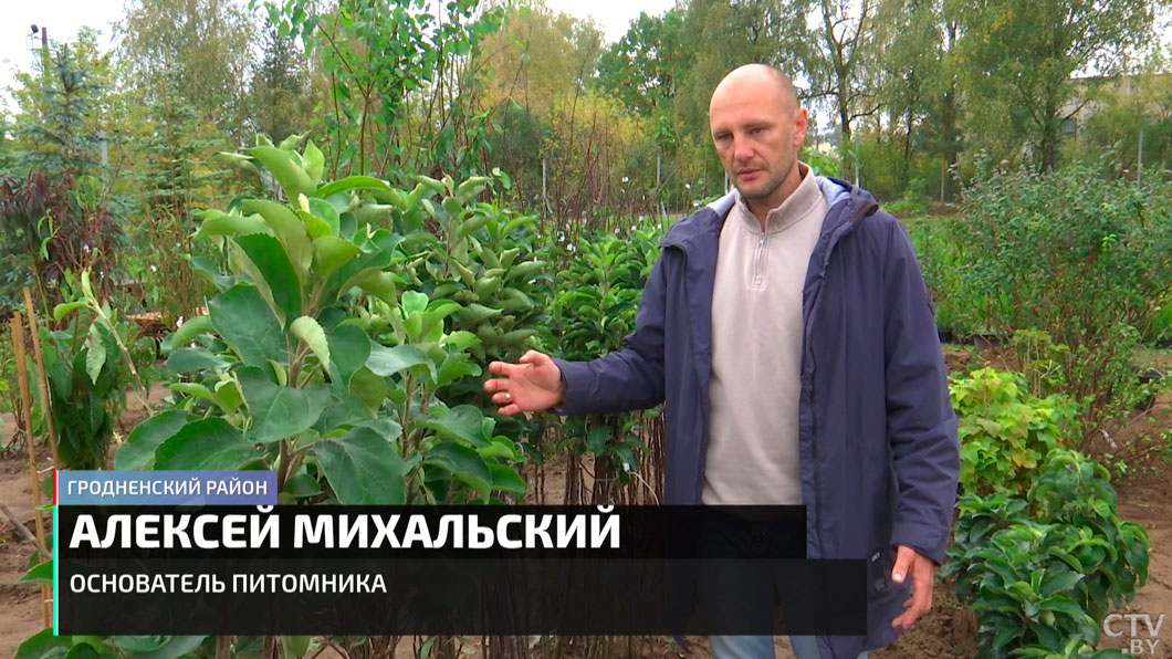 МАРТ планирует поднять статус сельскохозяйственных ярмарок – что изменится?-4