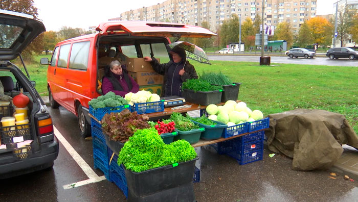 МАРТ планирует поднять статус сельскохозяйственных ярмарок – что изменится?