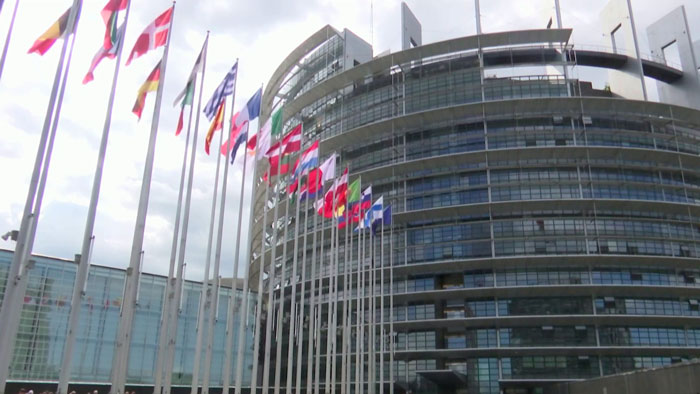 Европарламент требует расследовать парламентские выборы в Грузии