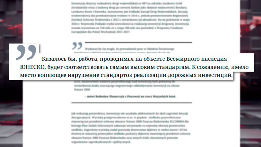 Вопиющее нарушение стандартов – поляки вырубали Беловежскую пущу для строительства дороги-12