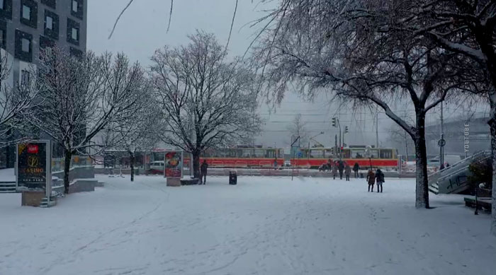 В Словакии более 360 тыс. человек поддержали отмену антироссийских санкций