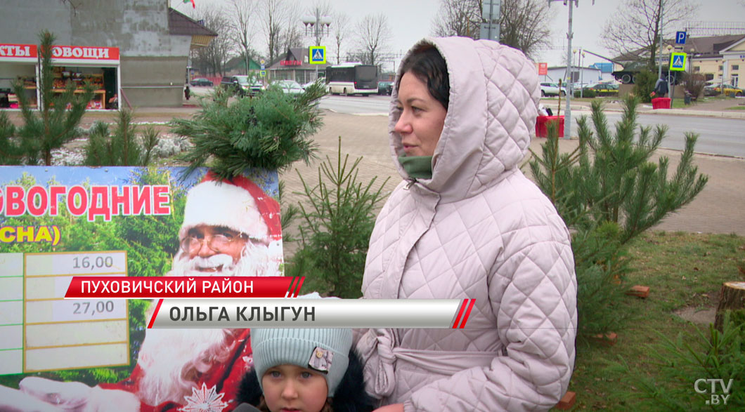 Не рубить, а купить! Какое наказание грозит за самовольную вырубку ёлок в Беларуси?-12