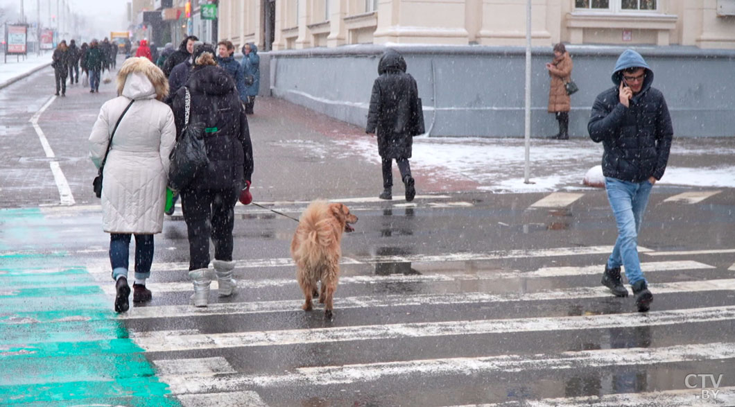 В Беларуси 3 января ожидается снег и гололедица-2