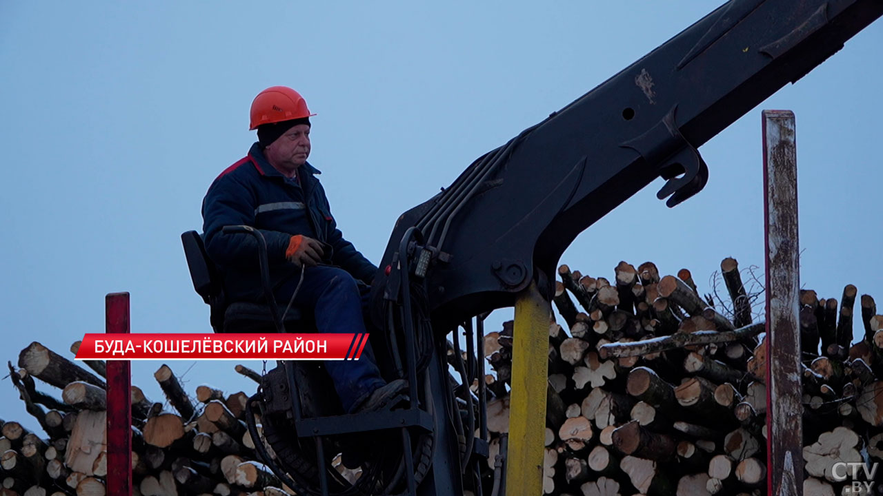 Беларусь восстанавливается до сих пор – как проходит ликвидация последствий июльского урагана-4
