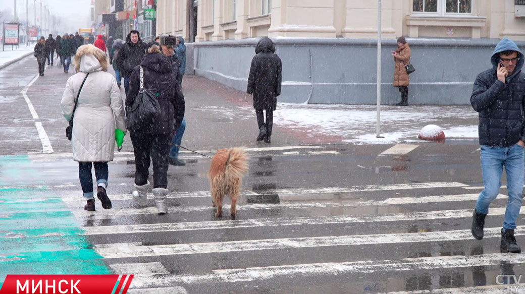 В Белграде прошла конференция, посвящённая выборам Президента Беларуси-12