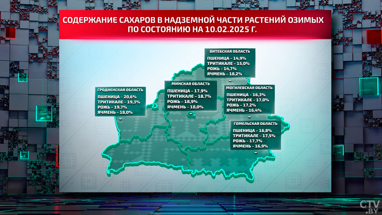 Гайки закручены, детали закреплены – как Гродненщина готовится к весенней посевной?-12