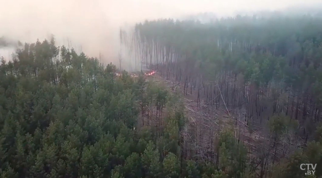 Запрет на посещение лесов введён во всей Брестской и двух районах Гомельской области-2