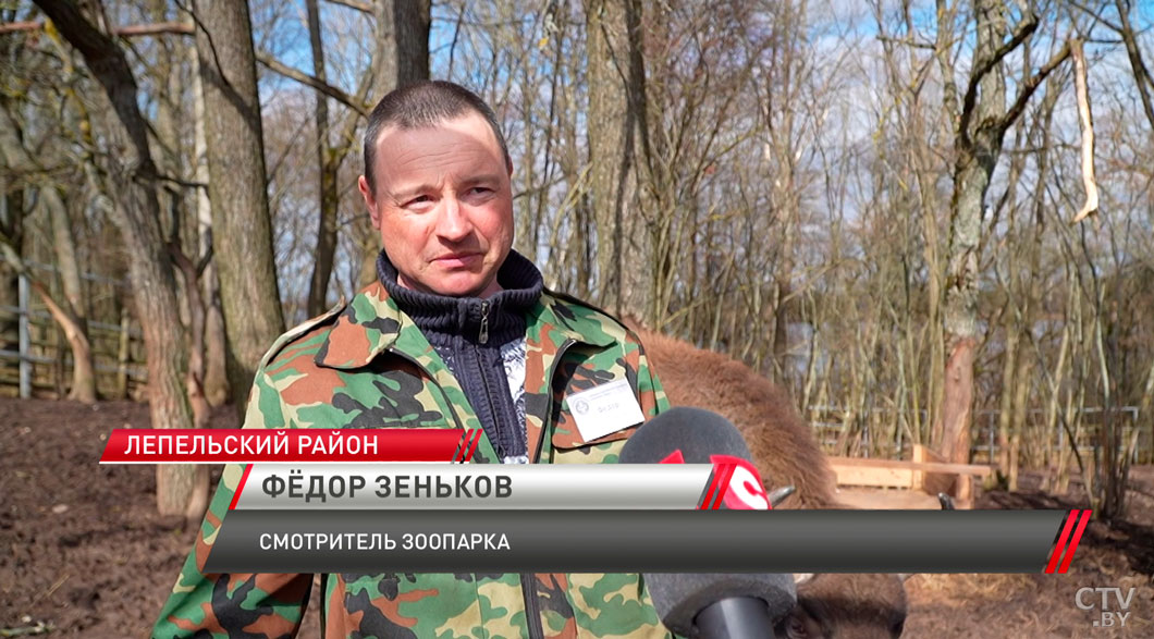 В Лепельском районе организовали бесплатный зоопарк-8 В Лепельском районе организовали бесплатный зоопарк-8