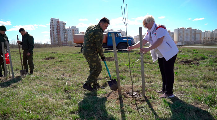 В Гродно высадили аллею Памяти Героев Великой Победы В Гродно высадили аллею Памяти Героев Великой Победы