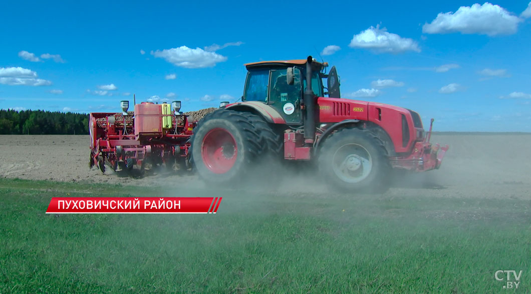 В Минской области завершают посадку картофеля и сев кукурузы-2