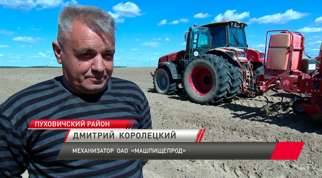 В Минской области завершают посадку картофеля и сев кукурузы-8