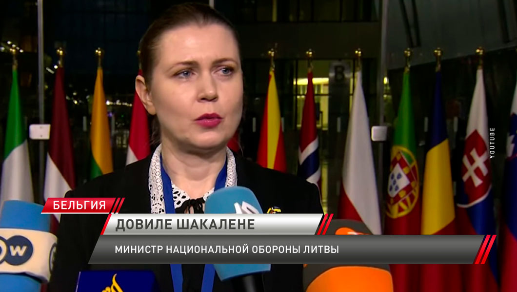 Глава Минобороны Литвы заявила, что НАТО напоминает «неблагополучную семью»-4