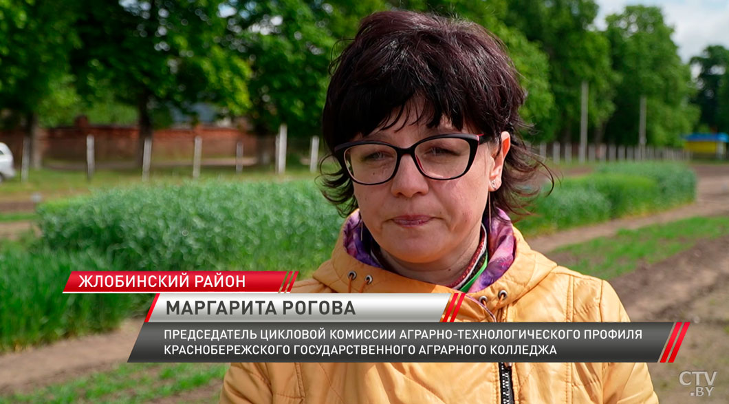 Краснобережский колледж более 100 лет готовит кадры для агропромышленного комплекса страны-8