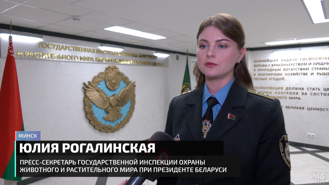 Пора миграции диких животных – что нужно знать, чтобы предотвратить страшные ДТП?-12