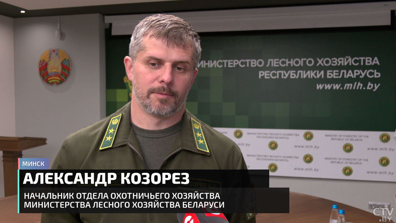 Пора миграции диких животных – что нужно знать, чтобы предотвратить страшные ДТП?-14