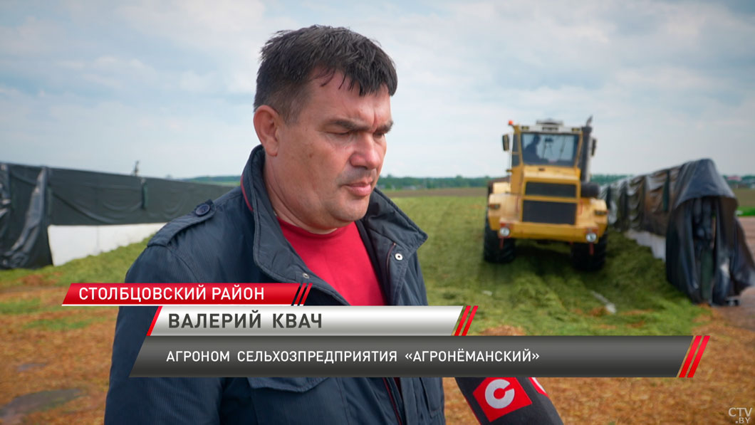 В Минской области заготовили свыше 70 тысяч тонн травяных кормов для животноводства-2