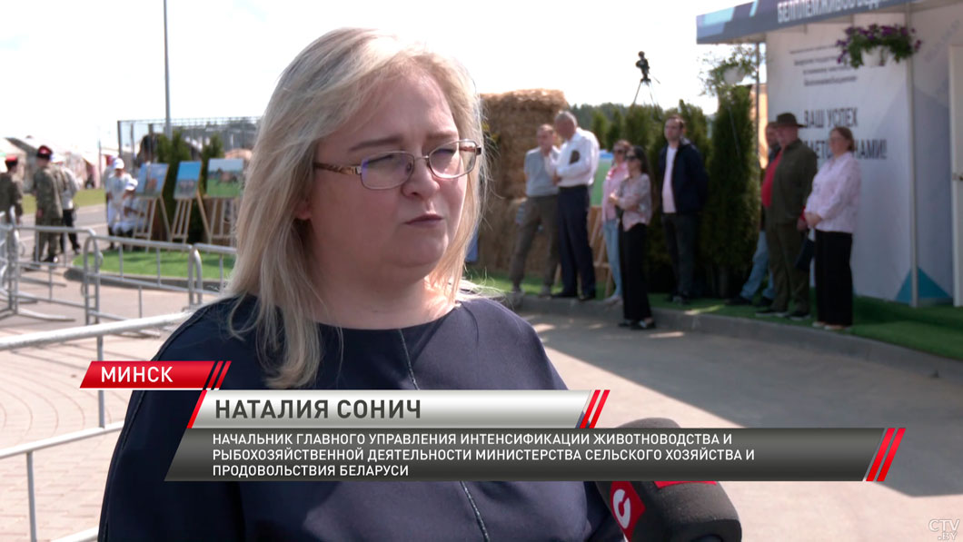 На крупнейшей выставке страны «Белагро-2025» выбирают лучшую племенную лошадь-4 На крупнейшей выставке страны «Белагро-2025» выбирают лучшую племенную лошадь-4