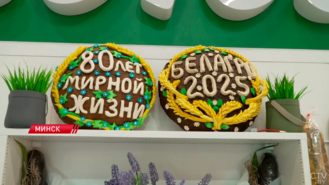 «Чемпион вкуса-2025» и удивительные новинки – как прошёл 4-й день агропромышленной выставки «Белагро»-2 «Чемпион вкуса-2025» и удивительные новинки – как прошёл 4-й день агропромышленной выставки «Белагро»-2
