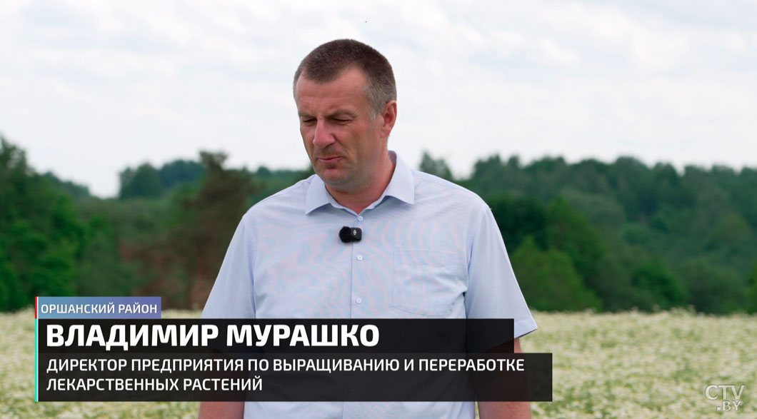 Дружба без границ! Рассказываем о локальных проектах белорусско-китайского сотрудничества-10