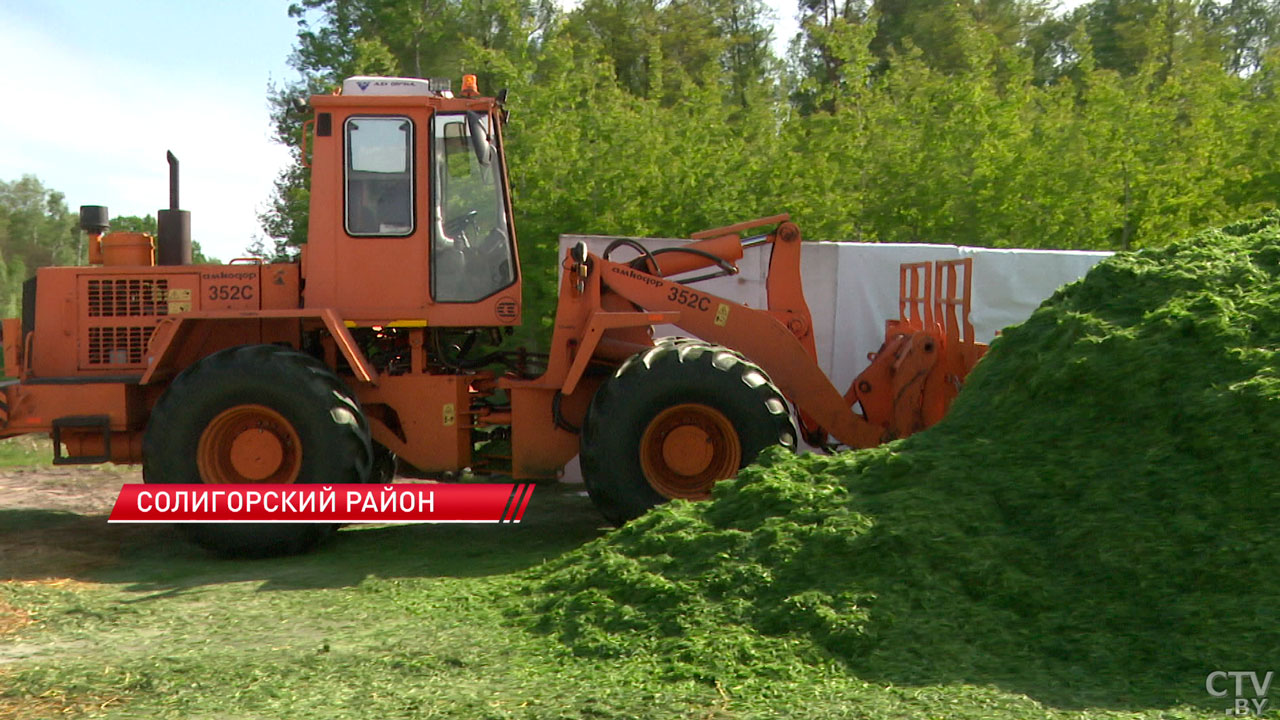 В Минской области косовица перешагнула отметку в 50% от плана-2