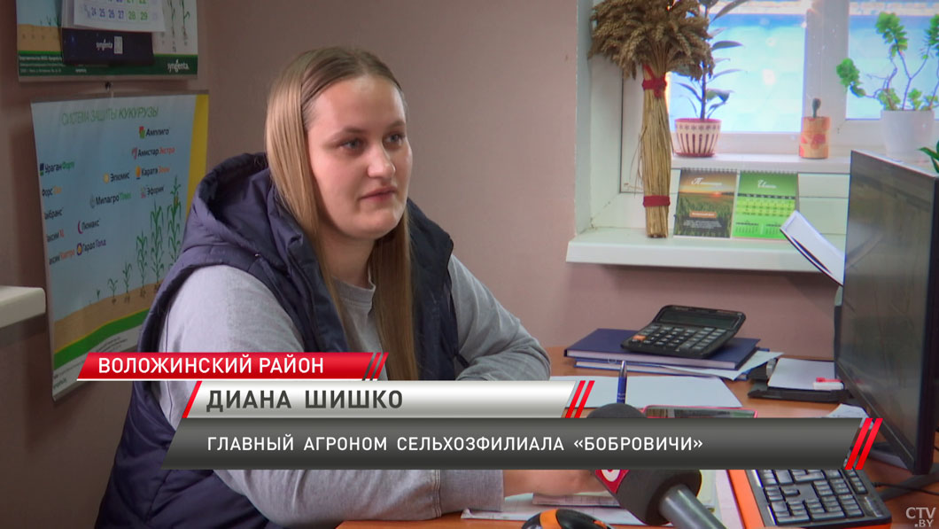 В 2025 году сельхозпредприятия Минской области примут на работу 296 молодых специалистов-4