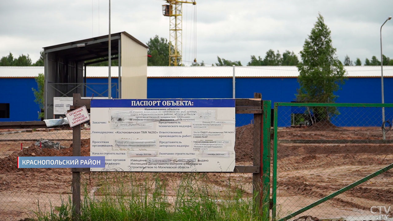 От икринки до товарной рыбы – в Могилёвской области строят комплексы по выращиванию форели-2