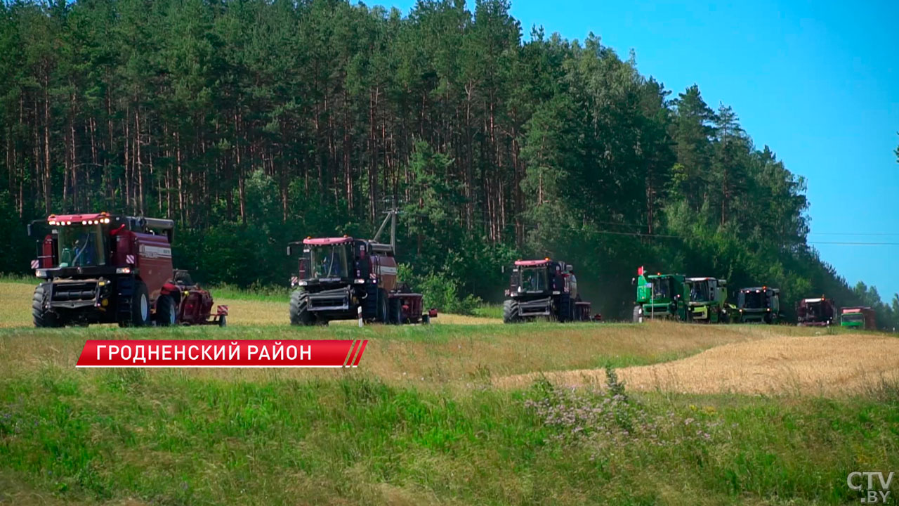 Хозяйства Гродненской области приступили к уборке озимого ячменя-2