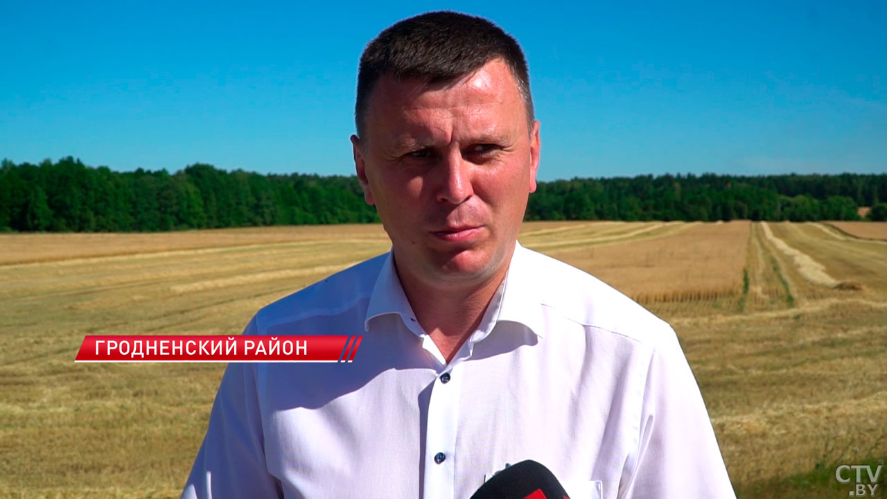 Хозяйства Гродненской области приступили к уборке озимого ячменя-4
