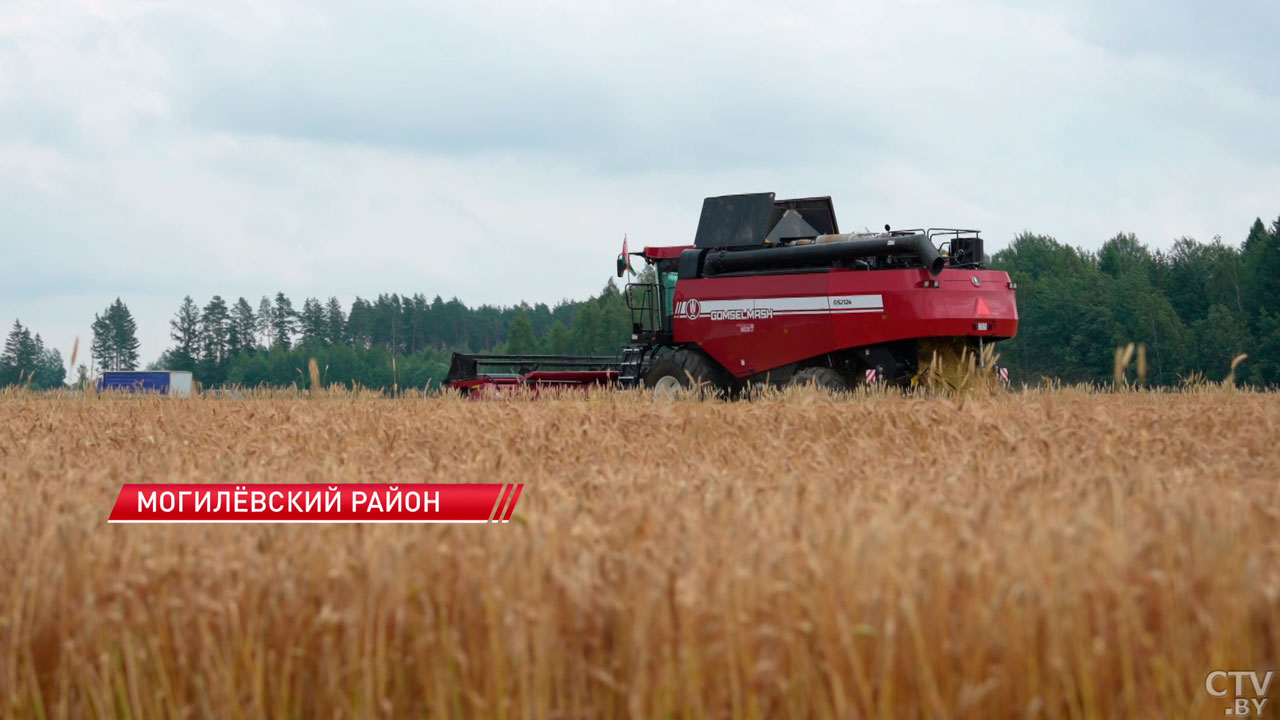 Самая лучшая профессия – руководитель хозяйства! Лукашенко посетил агрокомбинат «Заря»-6