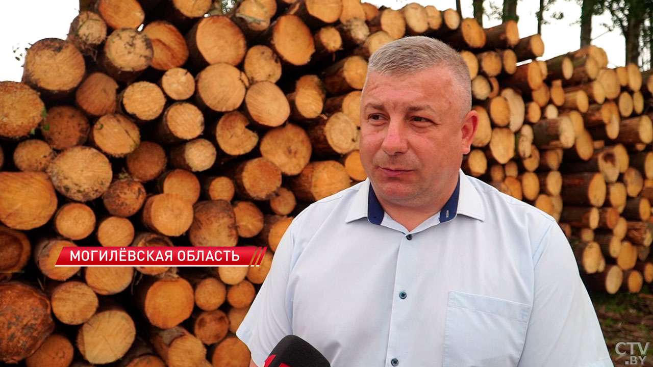 На замечание Лукашенко – реакция оперативная! В КГК рассмотрели проблемные вопросы лесной отрасли-10 На замечание Лукашенко – реакция оперативная! В КГК рассмотрели проблемные вопросы лесной отрасли-10