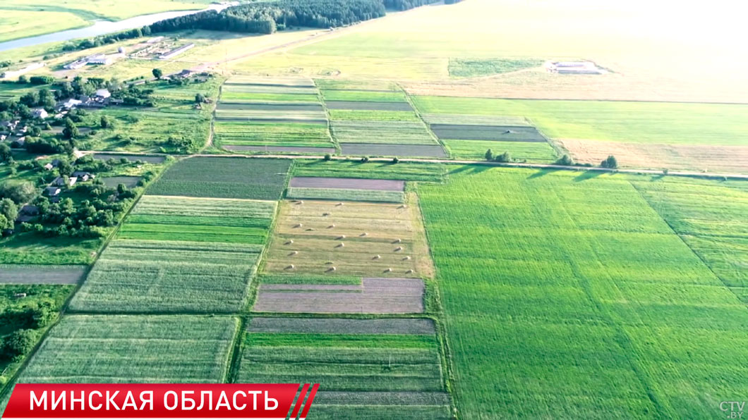 31 год назад 10 июля состоялся второй тур первых президентских выборов в истории независимой Беларуси -6 31 год назад 10 июля состоялся второй тур первых президентских выборов в истории независимой Беларуси -6