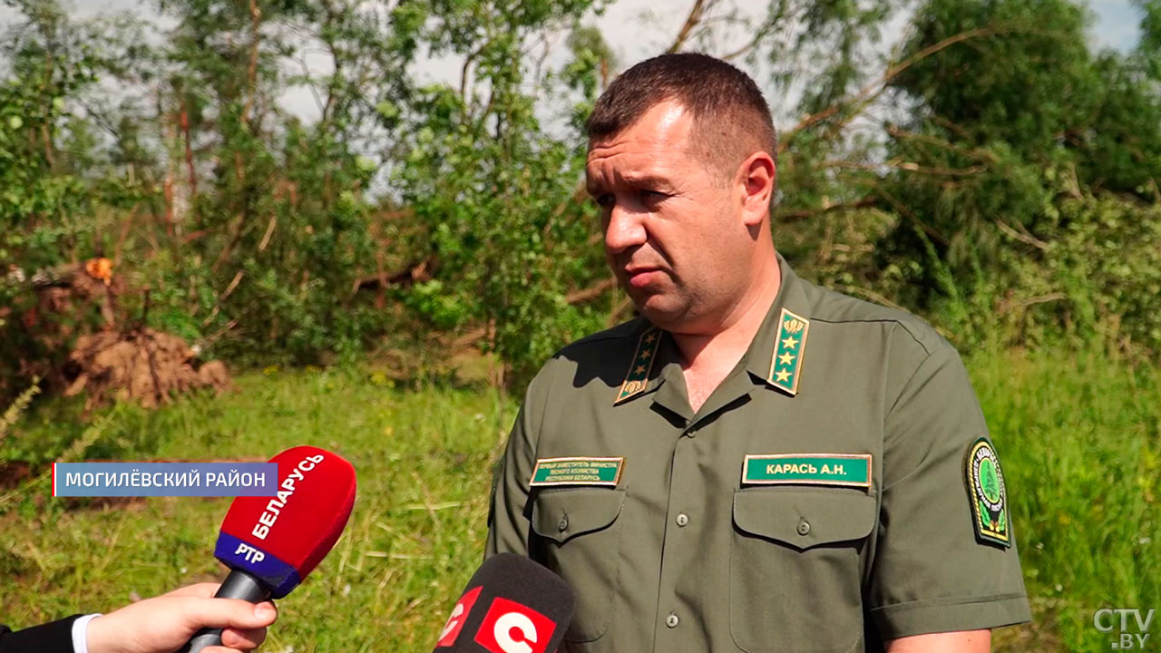 Минлесхоз и Академия наук воспользуются спутниками для обнаружения пострадавших от урагана районов-4
