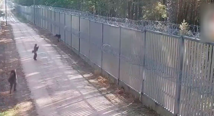 В Польше на границе военный стрелял резиновыми пулями по мигрантам – министр обороны поддержал его действия