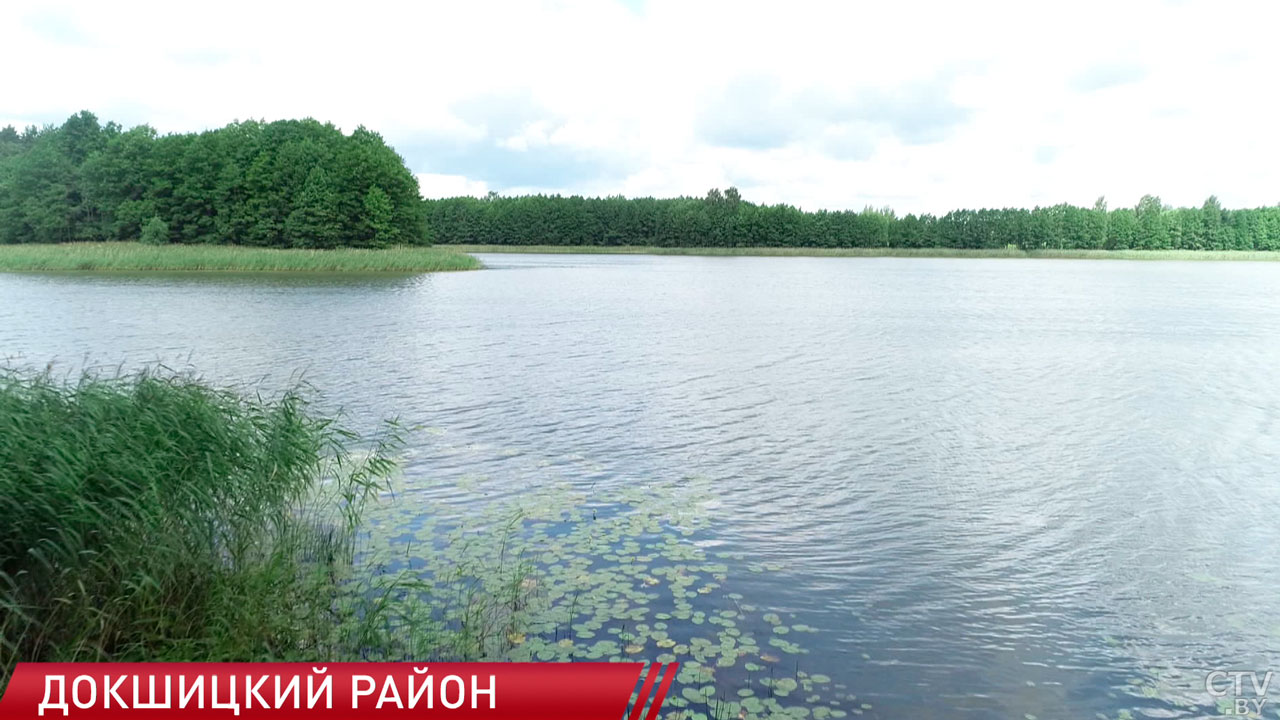 Аромат лугового и лесного разнотравья – в городе Докшицы прошёл фестиваль «Пра Зёлкі»-2